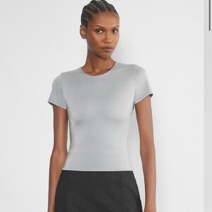 Aritzia Contour Metallic Crew Neck T-Shirt
